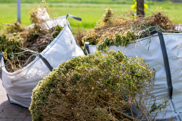 Best Professional Junk Removal  in Hopkins, MN